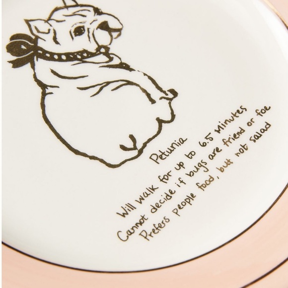 Dog Biography Quincy Canape Plates set of 4 - Picture 5 of 16